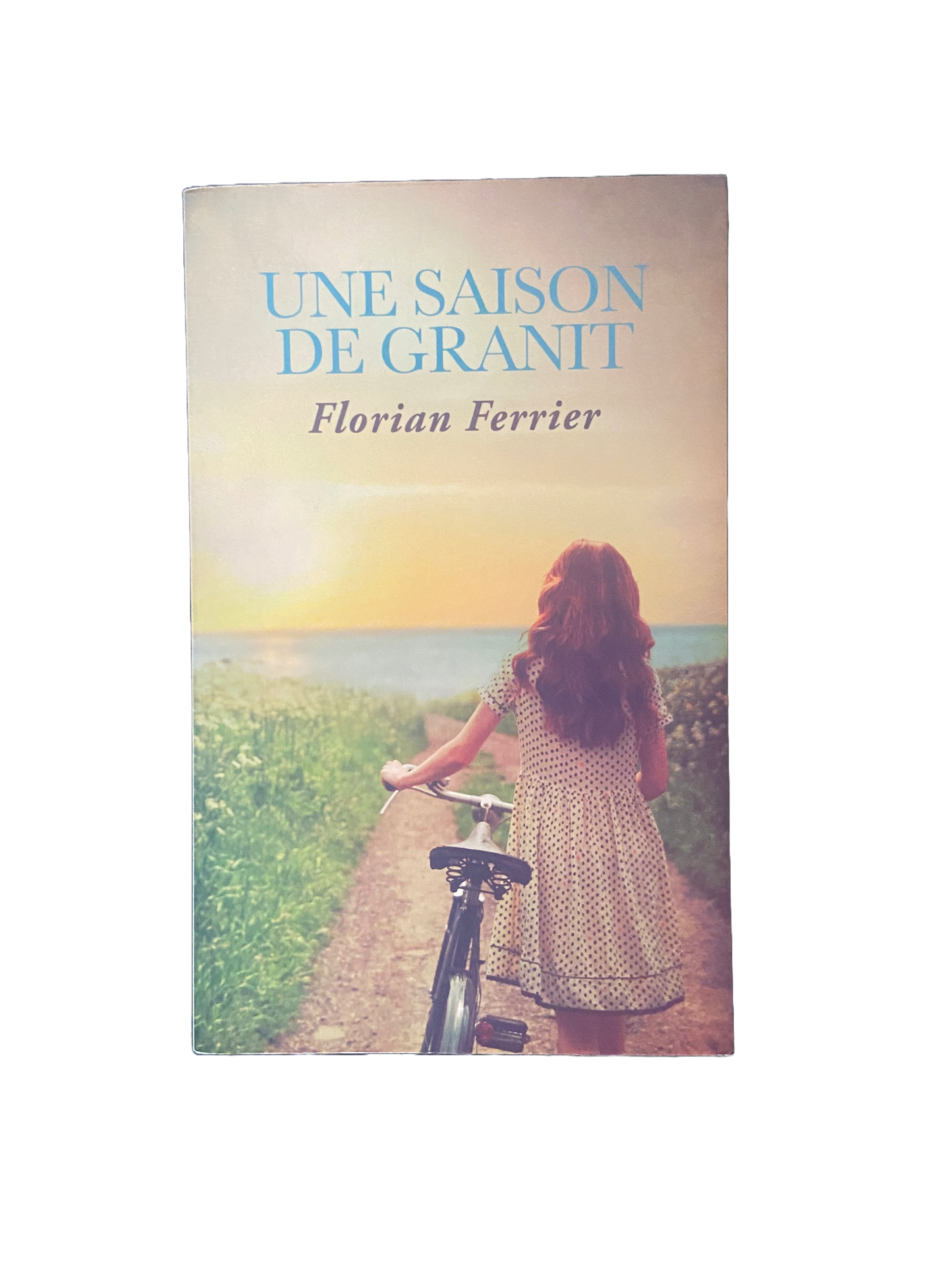 Une saison de granit - Florian Ferrier