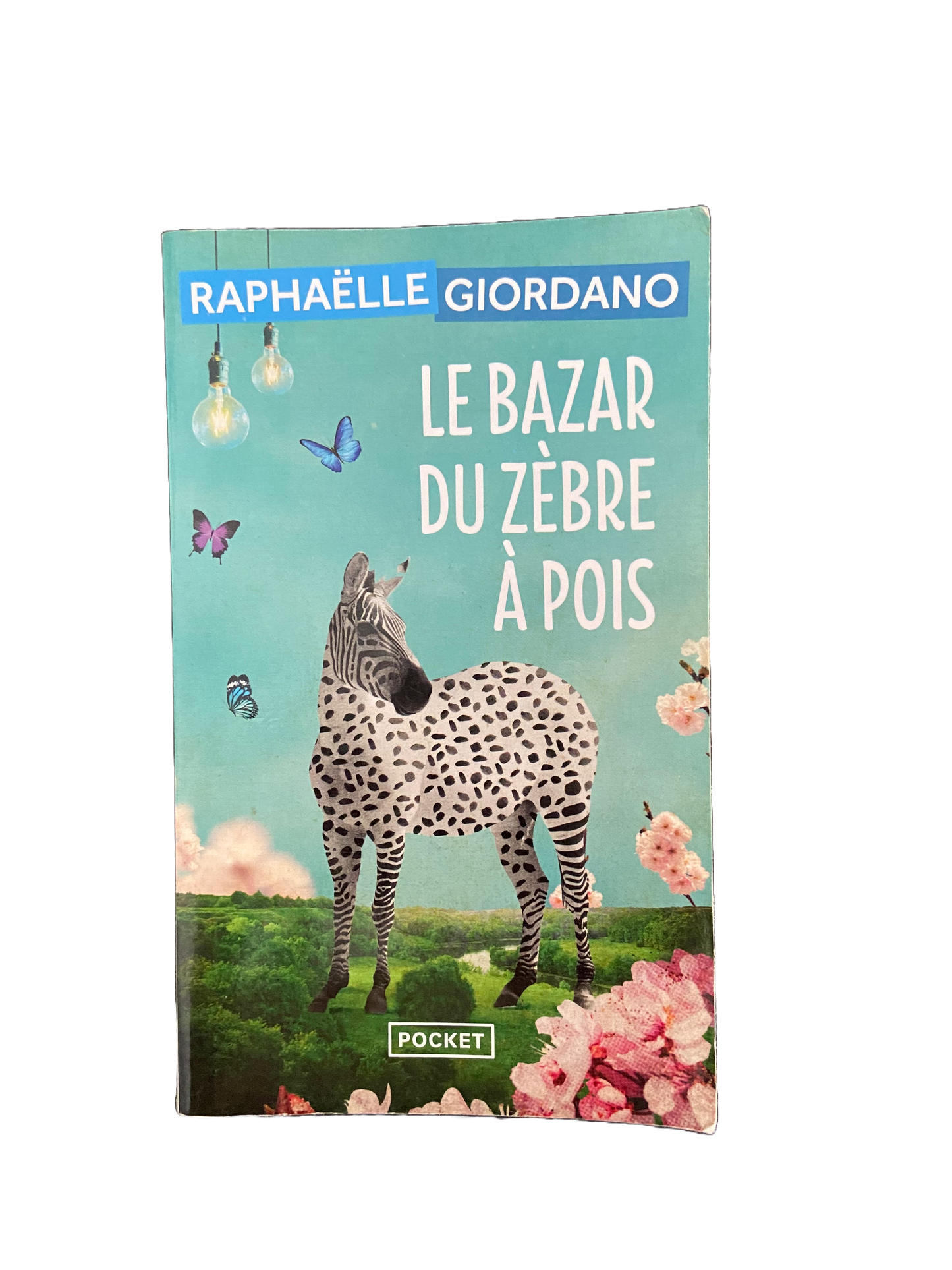 Le bazar du zèbre à pois - Raphaëlle Giordano