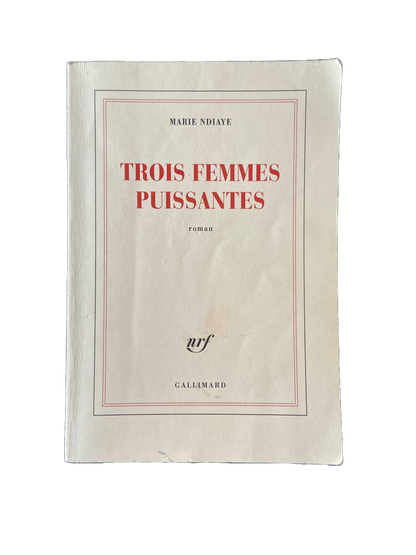 Trois femmes puissantes - Marie Ndiaye