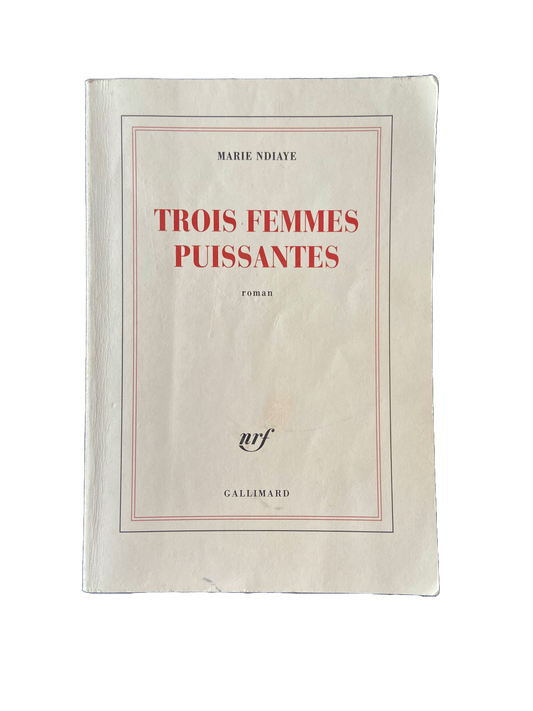 Trois femmes puissantes - Marie Ndiaye